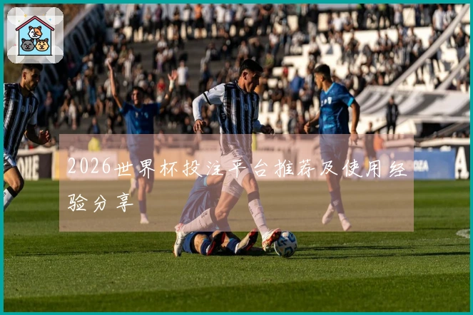 2026世界杯投注平台推荐及使用经验分享